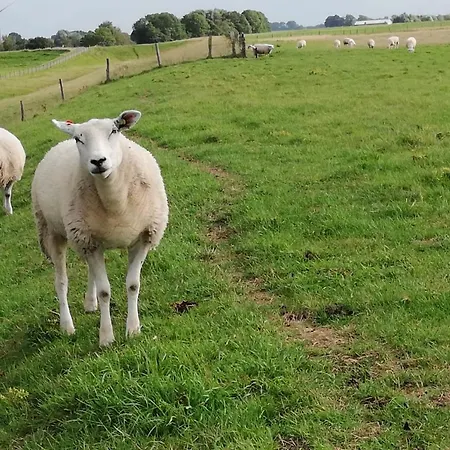 Ediths Haus Дом отдыха *