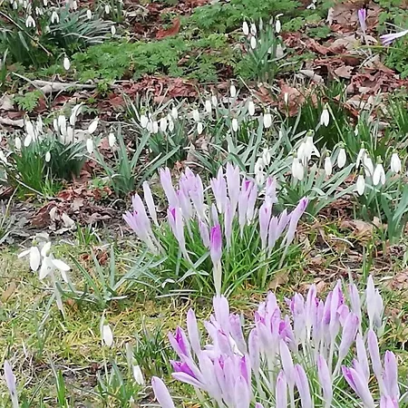 Ediths Haus Nyaraló *