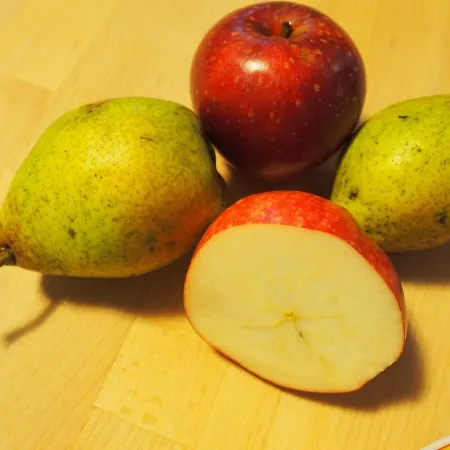 Nyaraló Ediths Haus Rhauderfehn