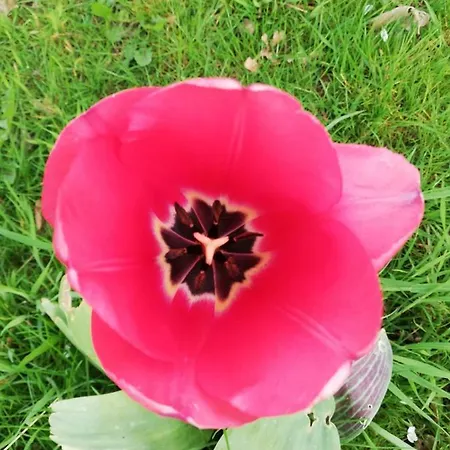 Ediths Haus Rhauderfehn