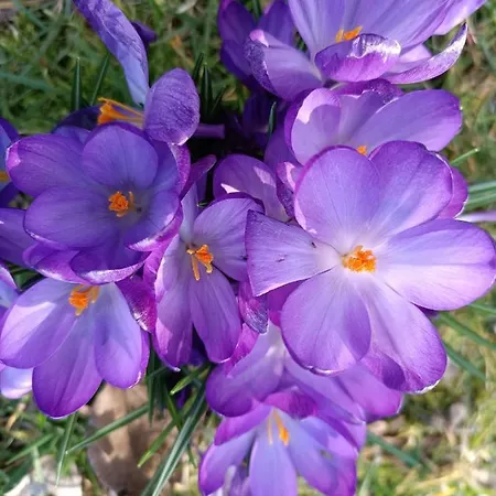 Ediths Haus Дом отдыха