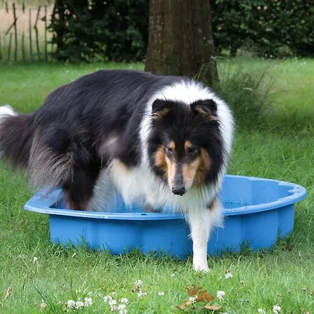 Ediths Haus Ferienhaus