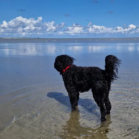 Nyaraló Ediths Haus