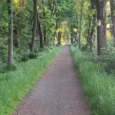 Ediths Haus Ferienhaus *