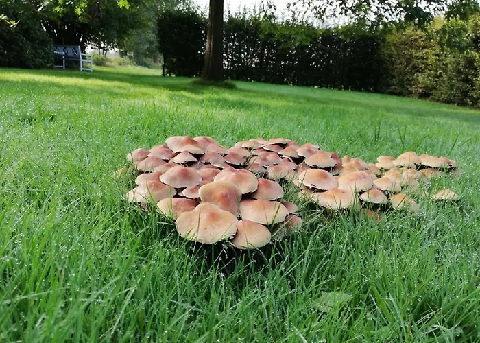 Ediths Haus Hébergement de vacances Rhauderfehn