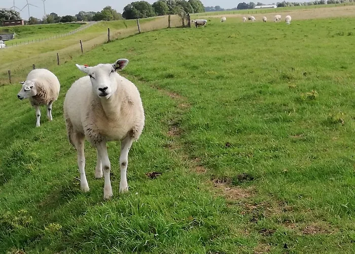 Ediths Haus Hébergement de vacances *