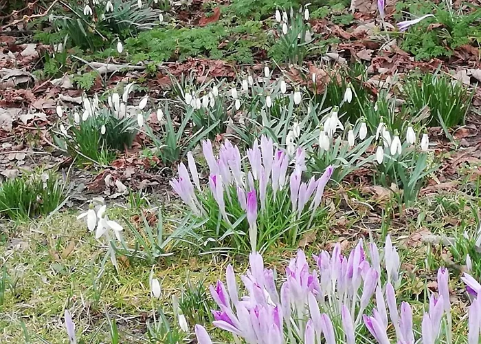 Ediths Haus Hébergement de vacances *