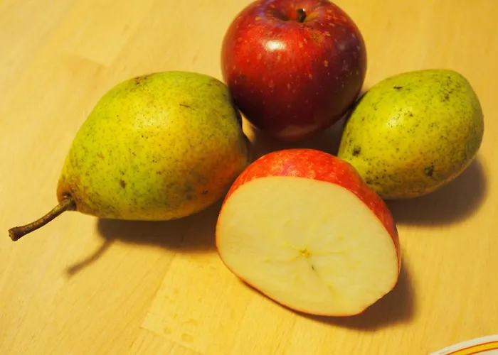 Tatil Evi Ediths Haus Rhauderfehn