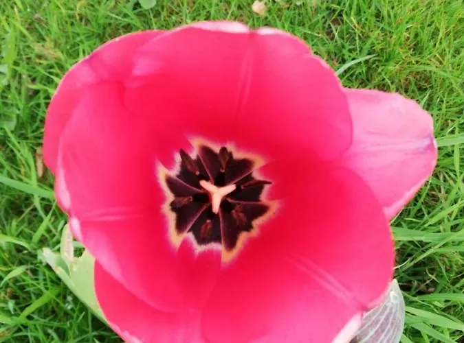 Ediths Haus Rhauderfehn