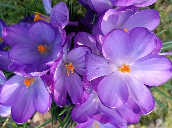 Ediths Haus Hébergement de vacances