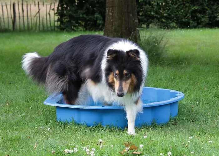 Ediths Haus Tatil Evi