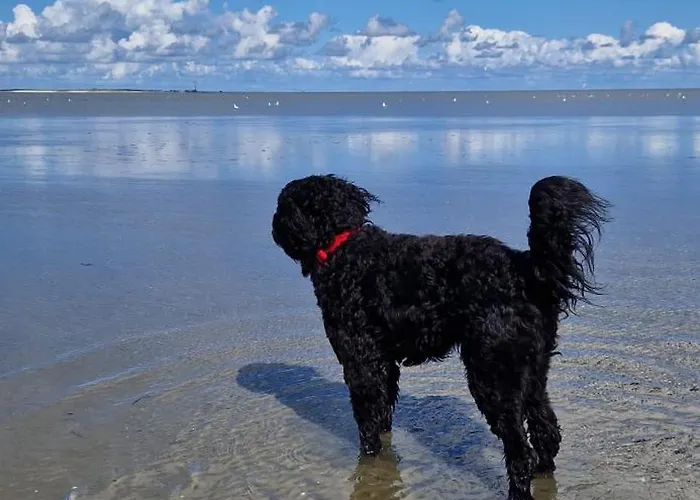 Hébergement de vacances Ediths Haus
