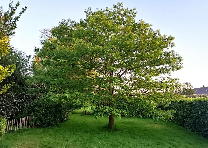 Ediths Haus * Rhauderfehn